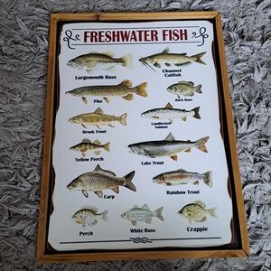 Freshwater Fish Decor